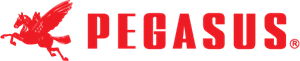 Pegasus-logo-6C3004BB6C-seeklogo.com_